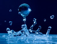 Water droplets 